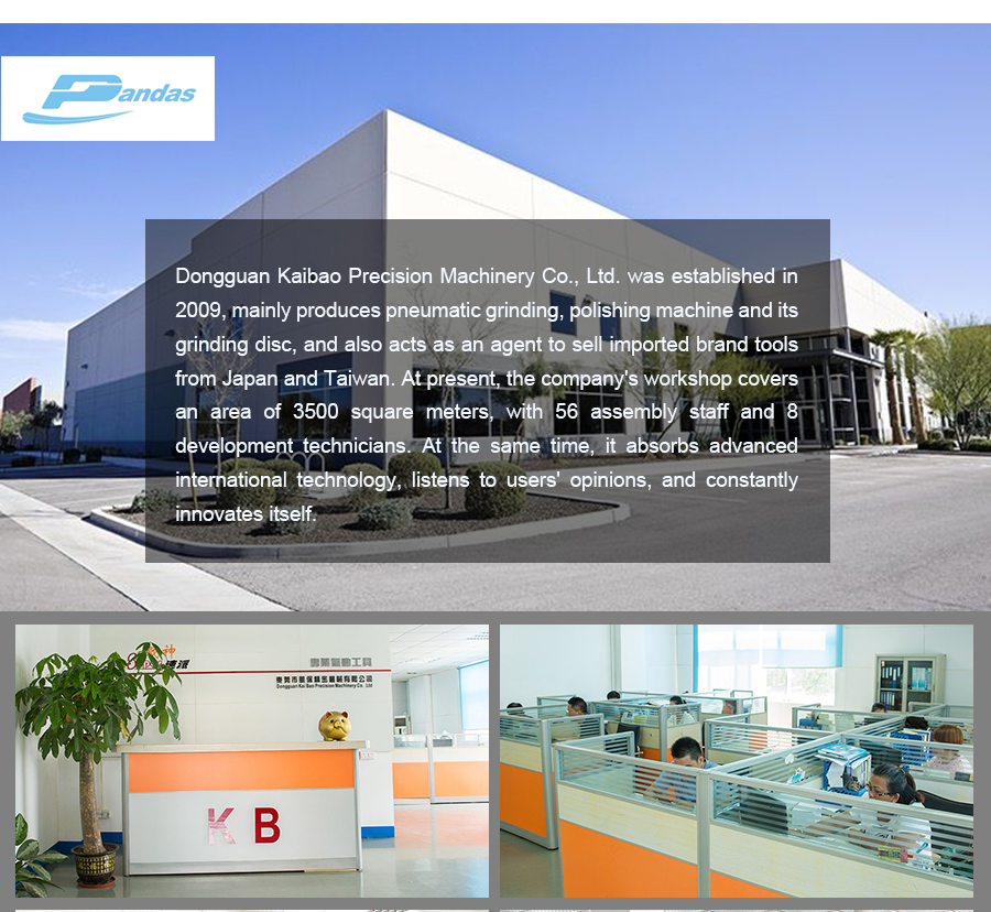 Sander de 5 polegadas